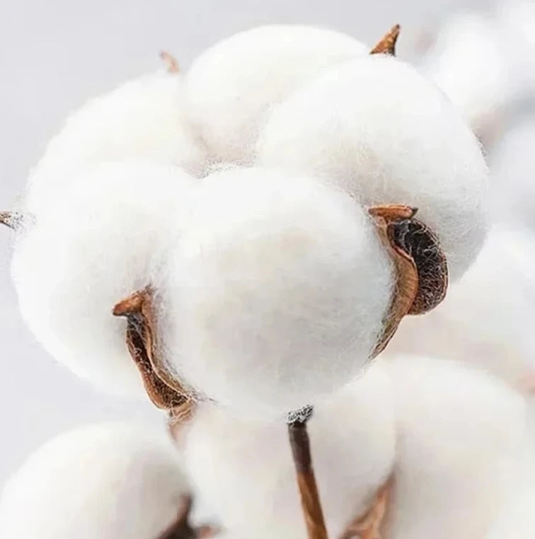 2025 New White Monster Funny Graphic Meme T-Shirt Men Women Cotton Tees Short Sleeve HigT-shirt Unisex Summer Tops Vintage